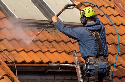 Démoussage et hydrofuge de toiture à Noueilles